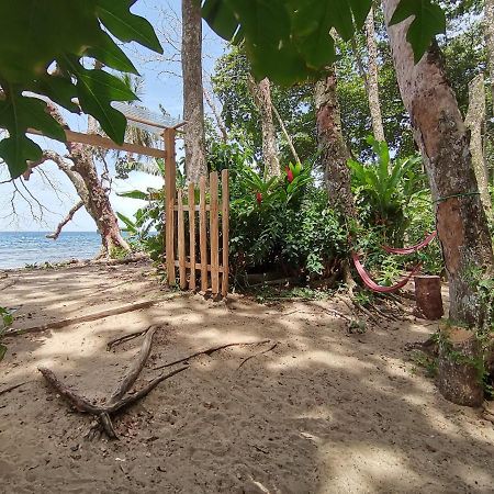 Oasis Pansiyon Puerto Viejo de Talamanca Dış mekan fotoğraf