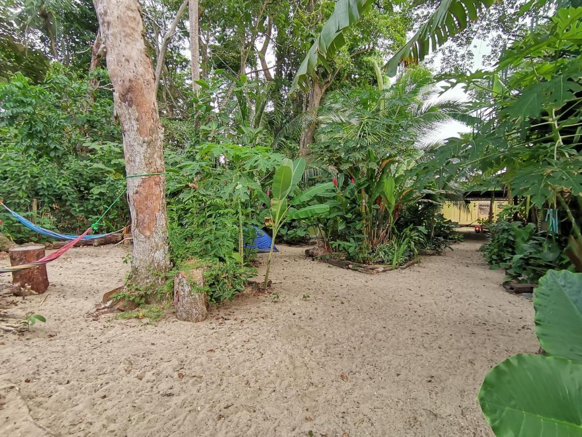 Oasis Pansiyon Puerto Viejo de Talamanca Dış mekan fotoğraf