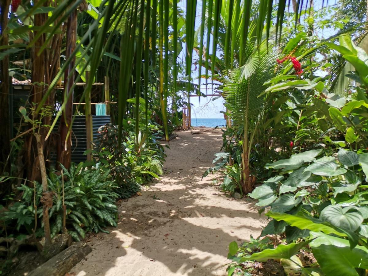 Oasis Pansiyon Puerto Viejo de Talamanca Dış mekan fotoğraf