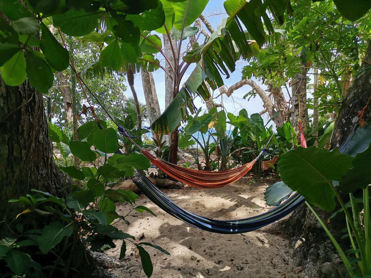 Oasis Pansiyon Puerto Viejo de Talamanca Dış mekan fotoğraf