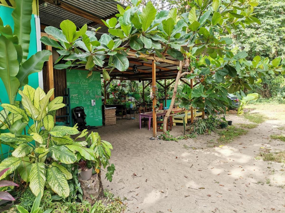 Oasis Pansiyon Puerto Viejo de Talamanca Dış mekan fotoğraf