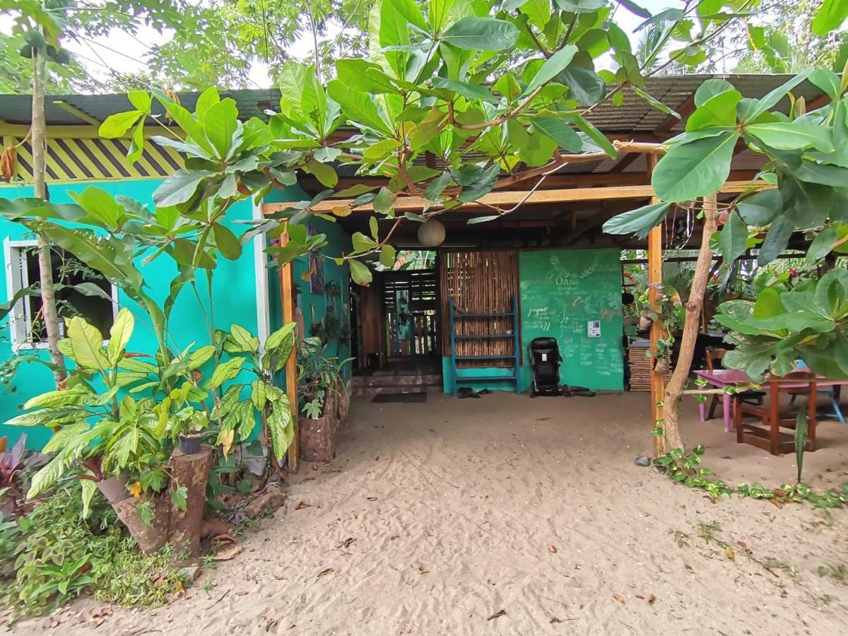 Oasis Pansiyon Puerto Viejo de Talamanca Dış mekan fotoğraf
