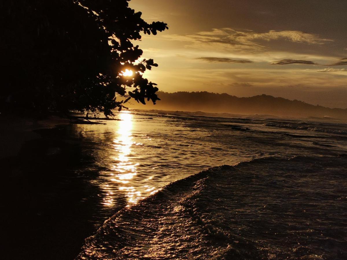 Oasis Pansiyon Puerto Viejo de Talamanca Dış mekan fotoğraf