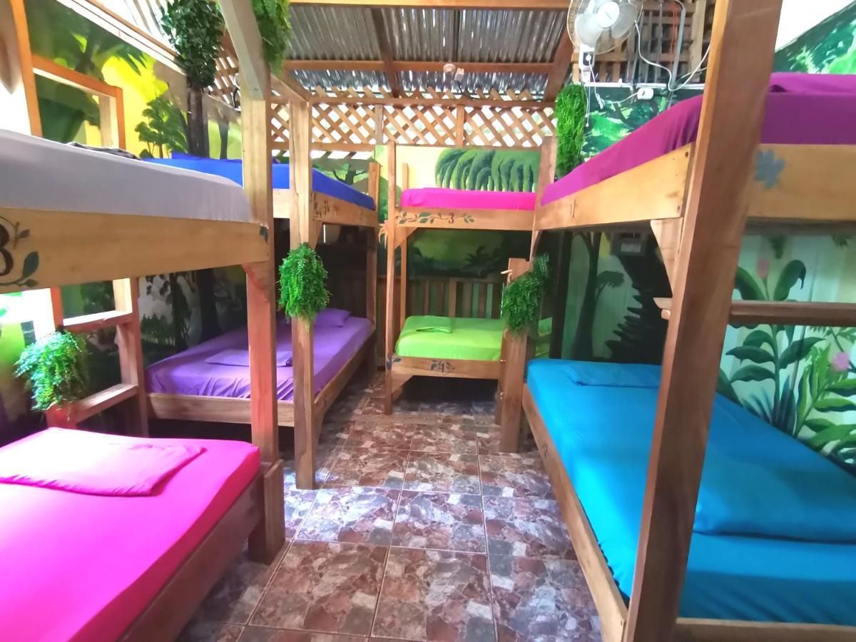 Oasis Pansiyon Puerto Viejo de Talamanca Dış mekan fotoğraf