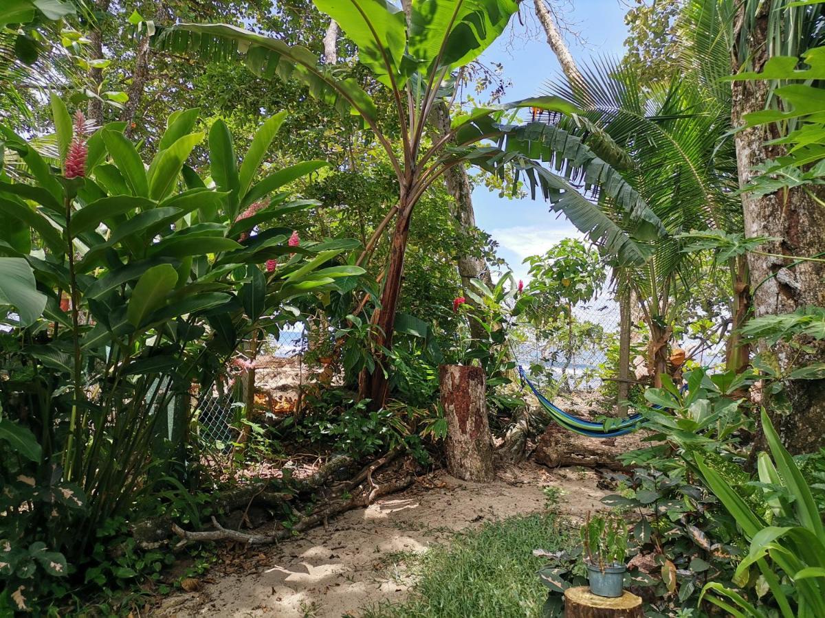 Oasis Pansiyon Puerto Viejo de Talamanca Dış mekan fotoğraf