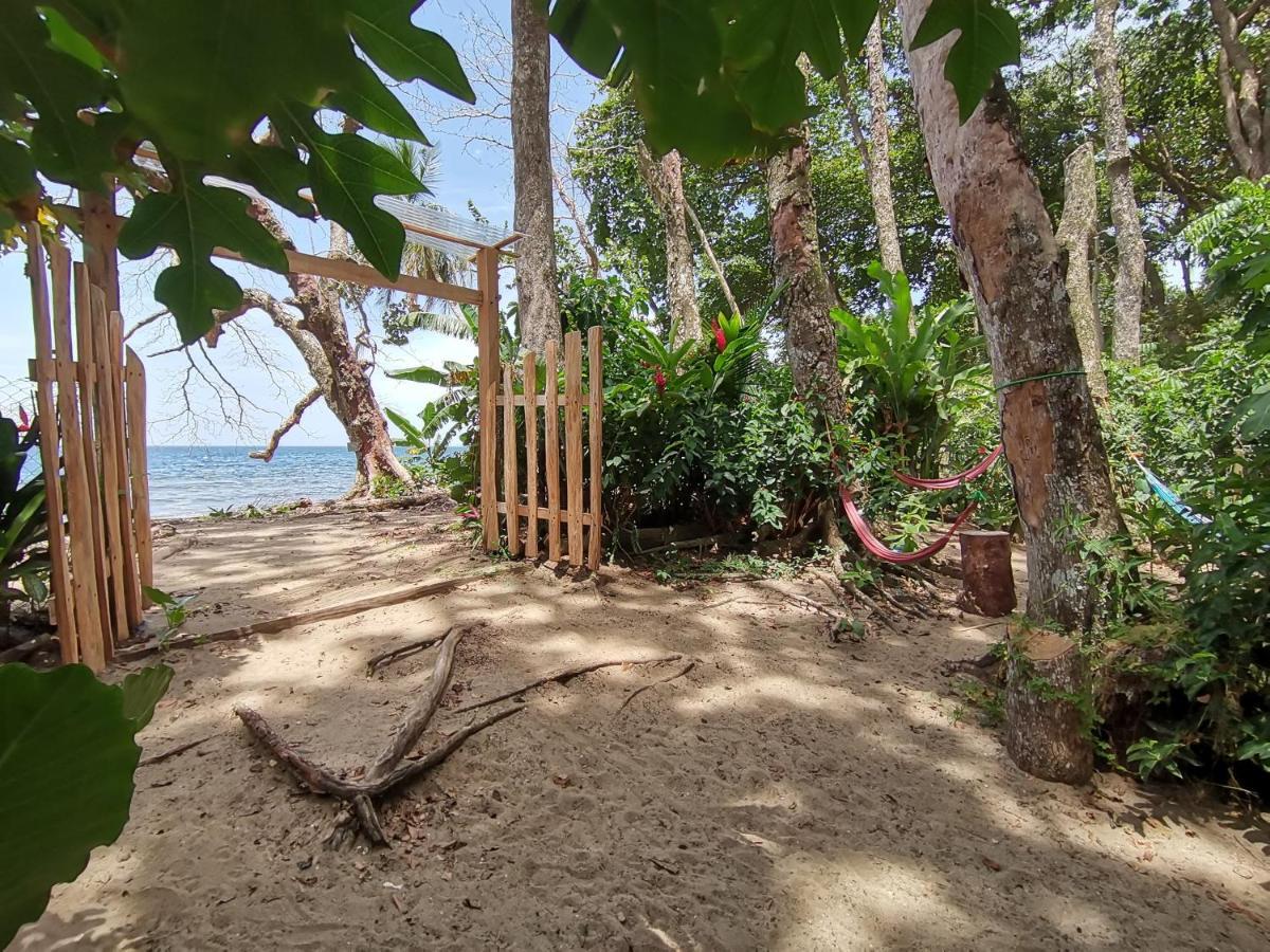 Oasis Pansiyon Puerto Viejo de Talamanca Dış mekan fotoğraf