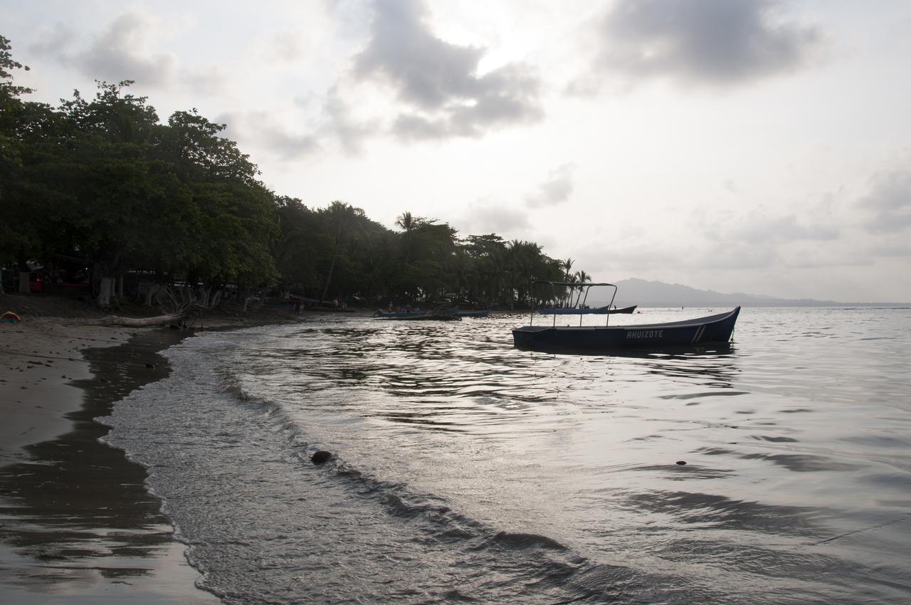 Oasis Pansiyon Puerto Viejo de Talamanca Dış mekan fotoğraf