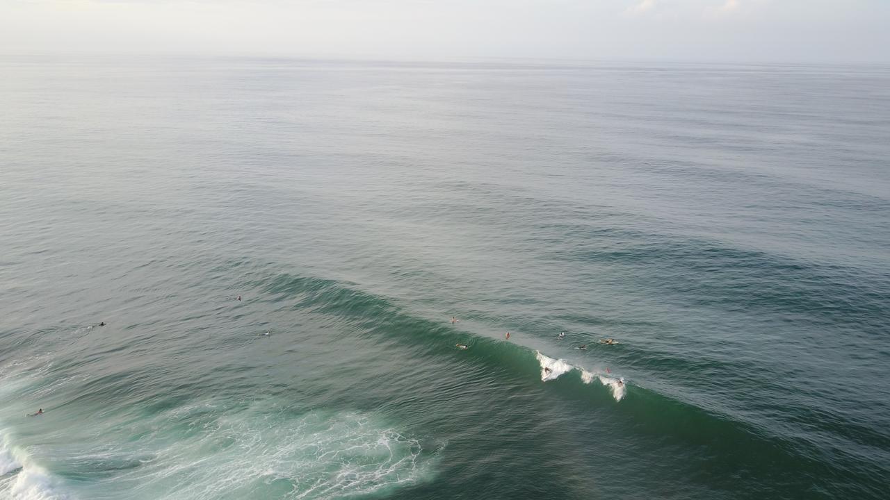Oasis Pansiyon Puerto Viejo de Talamanca Dış mekan fotoğraf