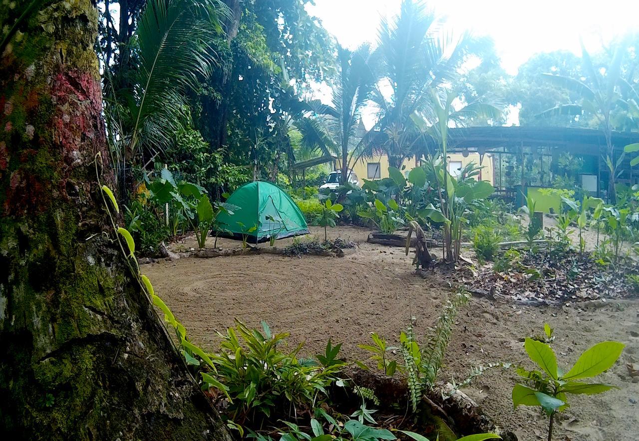 Oasis Pansiyon Puerto Viejo de Talamanca Dış mekan fotoğraf