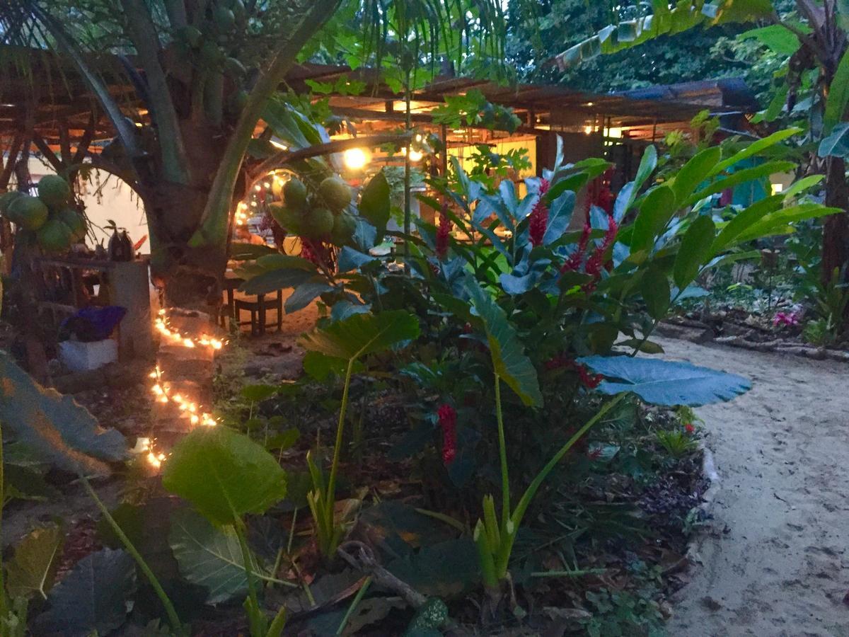 Oasis Pansiyon Puerto Viejo de Talamanca Dış mekan fotoğraf