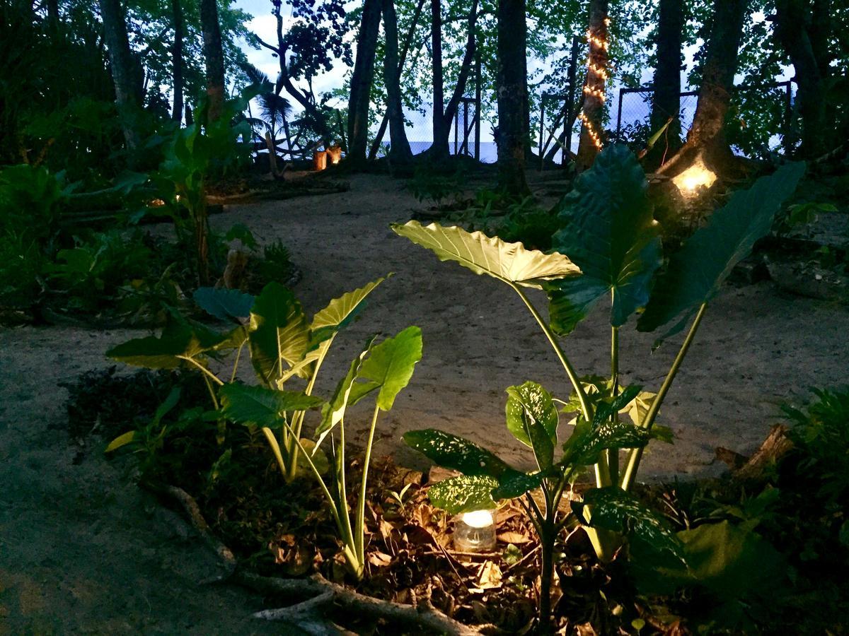 Oasis Pansiyon Puerto Viejo de Talamanca Dış mekan fotoğraf