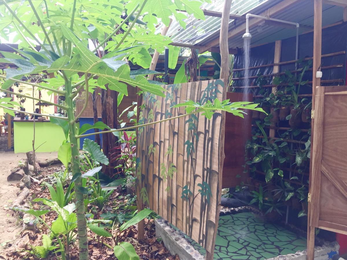 Oasis Pansiyon Puerto Viejo de Talamanca Dış mekan fotoğraf