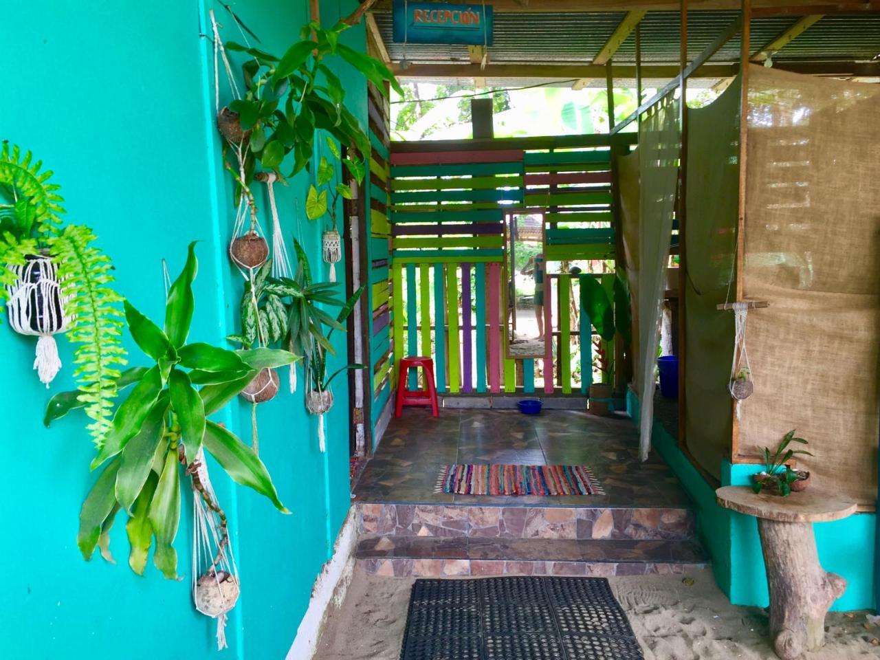 Oasis Pansiyon Puerto Viejo de Talamanca Dış mekan fotoğraf