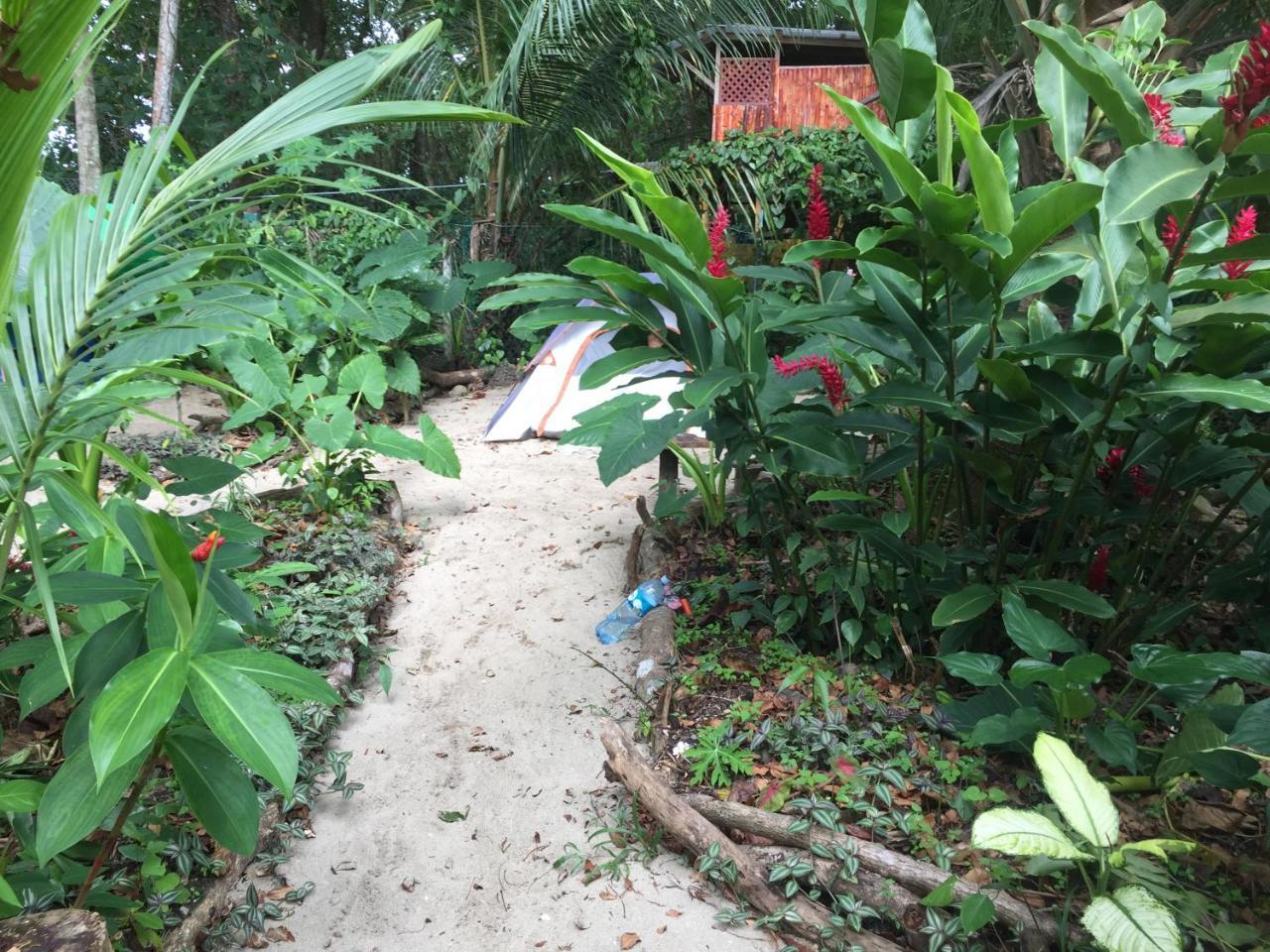 Oasis Pansiyon Puerto Viejo de Talamanca Dış mekan fotoğraf