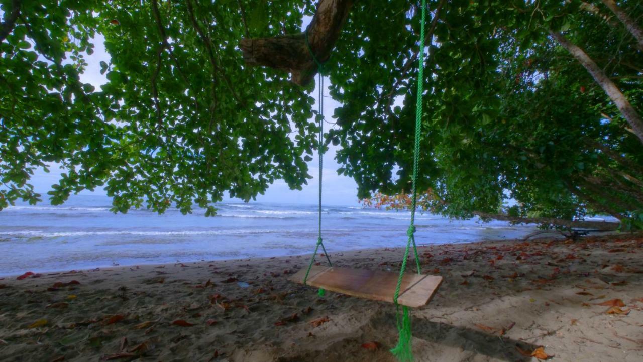 Oasis Pansiyon Puerto Viejo de Talamanca Dış mekan fotoğraf